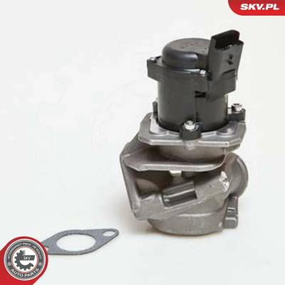 AGR-Ventil ESEN SKV 14SKV027