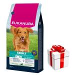 EUKANUBA Adult Large Breed Агнешко и ориз 12 кг + безплатна изненада за кучето