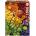 Educa Puzzle 1000 pieces Colorful Vitamins