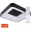 Tuya 105564
