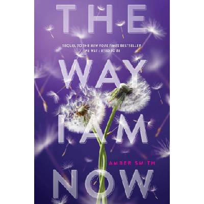 Way I Am Now | Amber Smith
