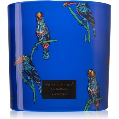 Vila Hermanos Jungletopia Rain Forest 620 g
