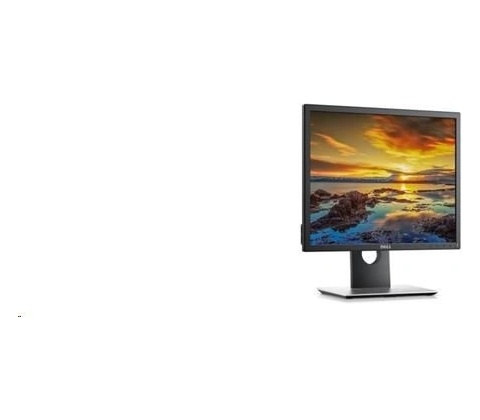 Dell P1917SE