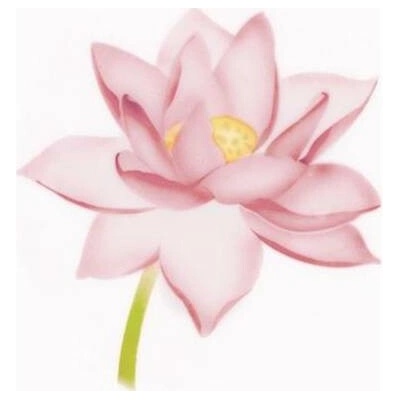 Šablóna na airbrush Lotus - Martellato