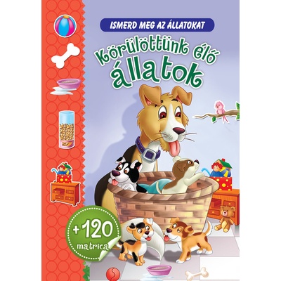 Körülöttünk élő állatok