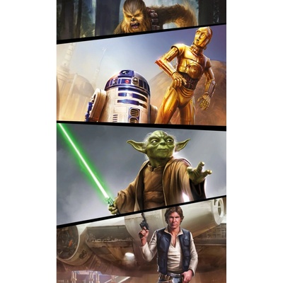 Komar Vliesová fototapeta Star Wars Moments Rebels rozměry 120 x 200 cm