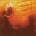 Rebirth Graywave LP