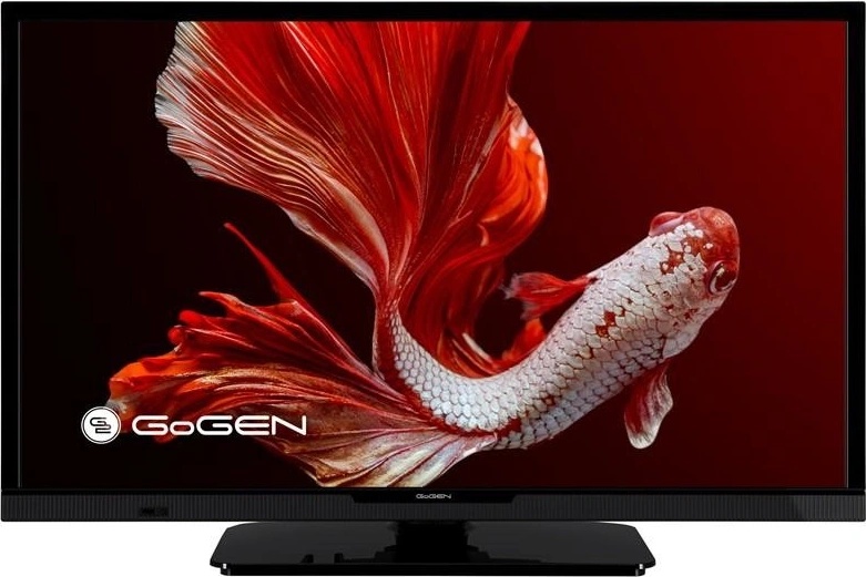 GoGEN TVH 24P452T
