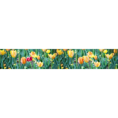 Dimex KI350-122 Fototapeta za linku Garden rozměry 350 x 60 cm