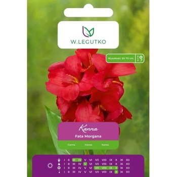 W. Legutko Канна Златно момиче жълто 1 бр