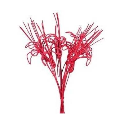 kytka pedig,10ks-40cm červená 381570-08