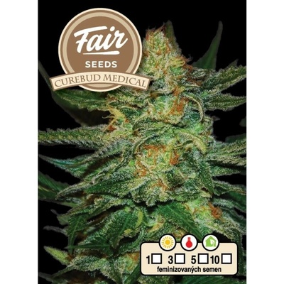 FAIR SEEDS Cure BuD Medical semienka neobsahujú THC 10 ks