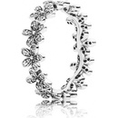 Pandora 190934CZ
