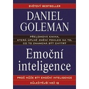 Emoční inteligence