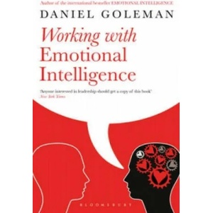 Working with Emotional Intelligence | Daniel Goleman (1999)