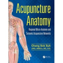 Acupuncture Anatomy