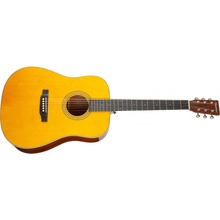 Tanglewood TW40DANE