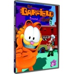 Hollywood Garfield 13 - DVD (001231)