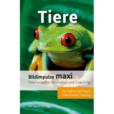 Heragon Verlag Bildimpulse maxi: Tiere | Bodo Pack