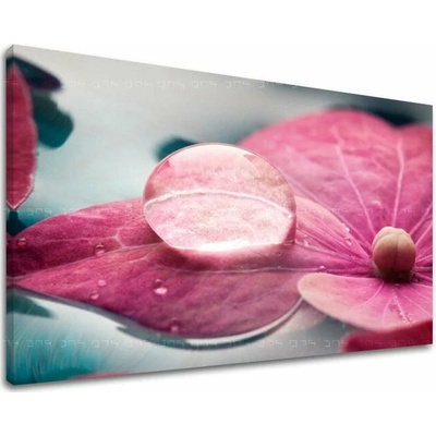 Obraz na stenu KVETY - 80x120 cm