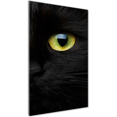 Vertikálny foto obraz sklo tvrdené Oči mačky 50x100 cm