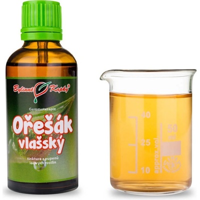 Ořešák vlašský tinktura z pupenů (gemmoterapie) 50 ml doplněk stravy