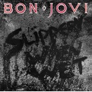 BON JOVI: SLIPPERY WHEN WET CD