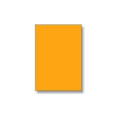 Rayfilm R01331123A 210 x 297 mm 100 etiket oranžová fluo