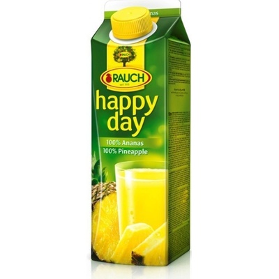 Rauch Happy Day ananas 100% 1000 ml