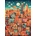Alipson Puzzle - Puzzle Amazing City - 500 piese