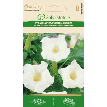 Image 1 of Seklos Датура Бяла Datura metel