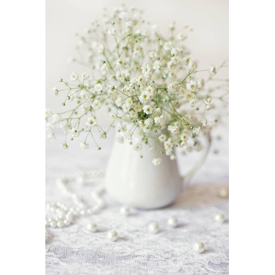 Plakát, Obraz - Delicate white, Natalia Ganelin, 26.7 × 40 cm
