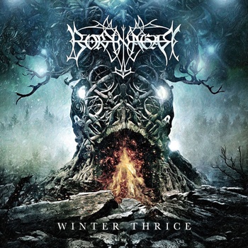 Borknagar - Winter Thrice (CD) (0888751752122)