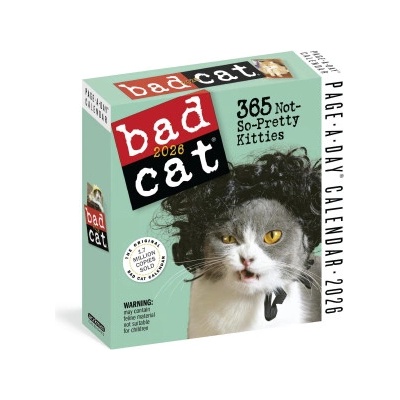 WORKMAN Bad Cat Page-A-Day® Calendar 2026 | BOX