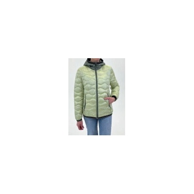 Green Goose 14223747 500