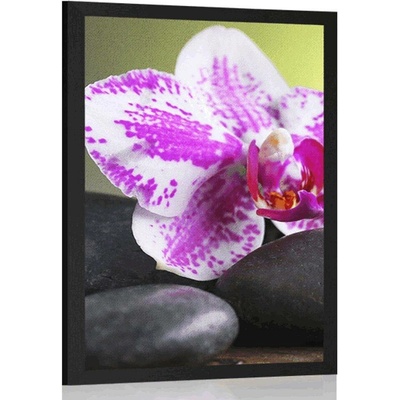 Plakát orchidej a černé kameny - 20x30 silver