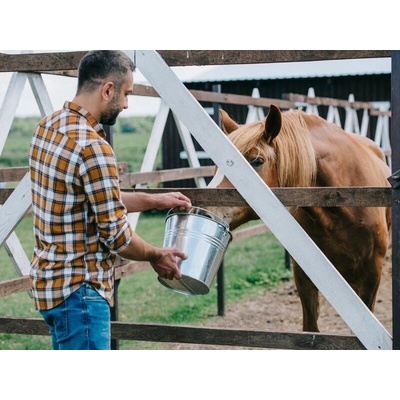 Farmářem na zkoušku aneb den s koňmi
