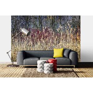 DIMEX ART Самозалепваща се флизелинова фототапета зимни тръстики 375 x 250 см