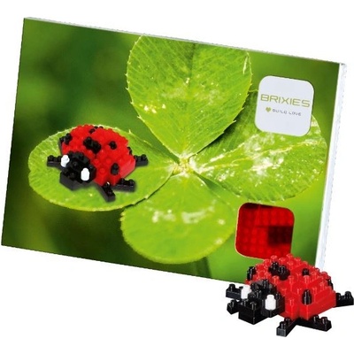 BRIXIES Postcard Ladybird