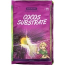 Atami Coco 50L