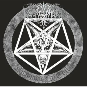 Necrophobic - Spawned By Evil (180g) (Booklet & Poster) (LP) (0194399957011)