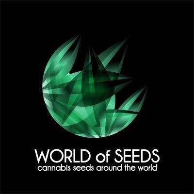 World of Seeds Northern Light x Big Bud semena neobsahují THC 3 ks – Zboží Dáma