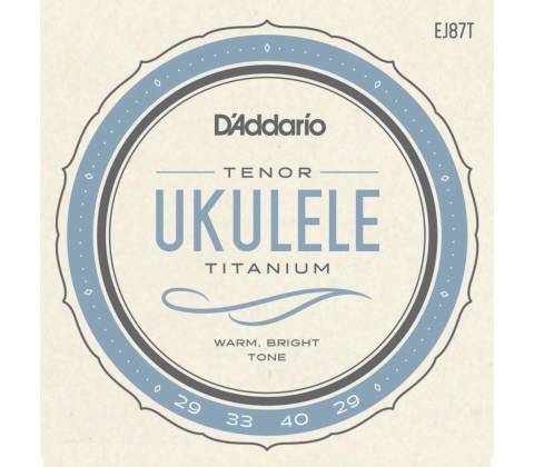 D'Addario EJ87T