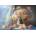 Castorland - Puzzle Pastel Peonies - 1 500 piese