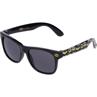 Warner Bros. Interactive Batman lens