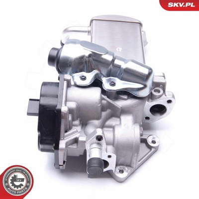 AGR - Ventil ESEN SKV 14SKV152
