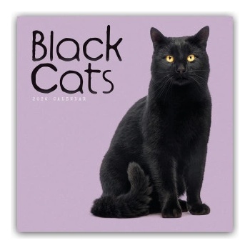 Browntrout Verlags GmbH Black Cats - Schwarze Katzen 2026 - Wand-Kalender