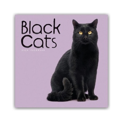 Browntrout Verlags GmbH Black Cats - Schwarze Katzen 2026 - Wand-Kalender | Carousel Calendar