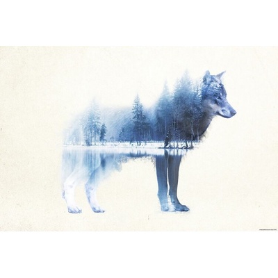 Plagát, Obraz - Forest Wolf, 91.5 × 61 cm