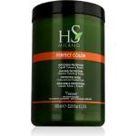 HS MILANO Perfect Color Protective Mask 1000 ml